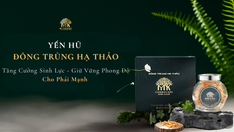 Yến Hũ Đông trùng hạ thảo - vị thuốc quý rất cần cho cánh mày râu