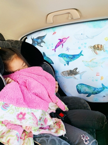 Tấm che nắng xe hơi chống tia UV/ tản nhiệt- Hajour (Xuất xứ Hàn Quốc)