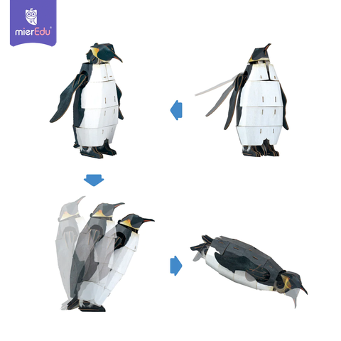 Bộ lắp ghép 3D chi tiết mierEdu - Phiên bản đặc biệt