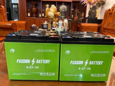 Ắc Quy Xe Máy Điện Passion 30A (Hệ 5 Bình)