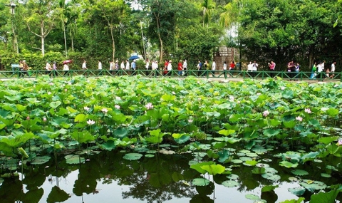 CHƯƠNG TRÌNH DU LỊCH CỬA LÒ 