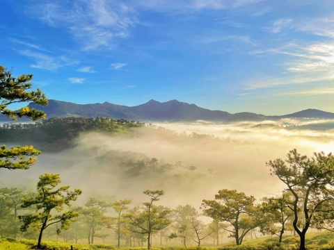 HÀ NỘI – ĐÀ LẠT – HÀ NỘI