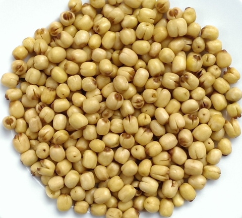 DRIED LOTUS SEED