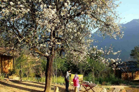 DU LỊCH NGỌC CHIẾN – HOA SƠN TRÀ 2 NGÀY 1 ĐÊM