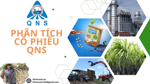 PHÂN TÍCH CỔ PHIẾU QNS - LỢI NHUẬN LIỆU ĐÃ ĐẠT ĐỈNH ?