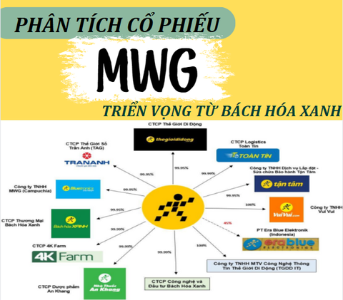 PHÂN TÍCH CỔ PHIẾU MWG - TRIỂN VỌNG TỪ BÁCH HÓA XANH