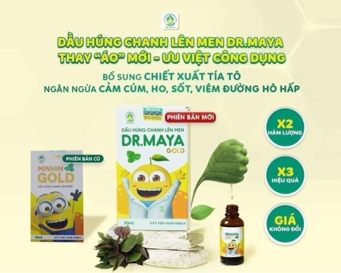 TPCN - Dầu húng chanh lên men Dr. MAYA Gold (30ml) Tăng sức đề kháng tự nhiên cho bé, mẫu mới