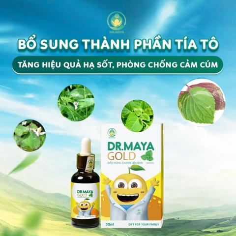 TPCN - Dầu húng chanh lên men Dr. MAYA Gold (30ml) Tăng sức đề kháng tự nhiên cho bé, mẫu mới