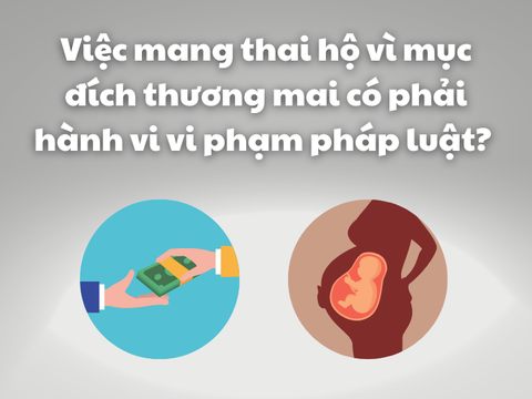 Việc mang thai hộ vì mục đích thương mại có phải hành vi vi phạm pháp luật? | Luật sư tư vấn | VietLawyer