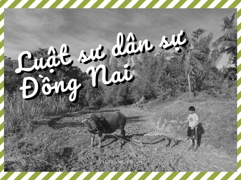 Luật sư Dân Sự Đồng Nai | Luật Sư Của Bạn | Vietlawyer.vn