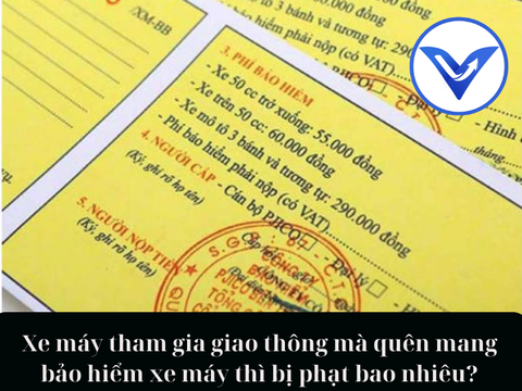 Xe máy tham gia giao thông mà quên mang bảo hiểm xe máy thì bị phạt bao nhiêu?