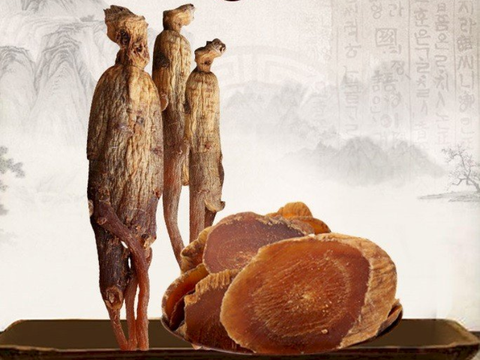 Hồng sâm Hàn Quốc - vị thuốc quý giúp tăng cường sức khỏe