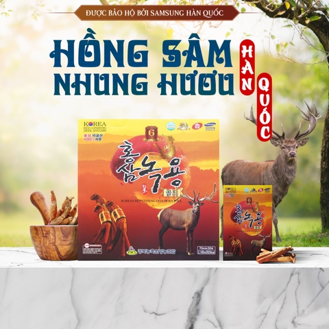 Hồng Sâm Nhung Hươu Hàn Quốc Red Ginseng Deer Antlers