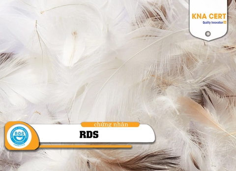 Chứng nhận RDS – Tiêu chuẩn Lông vũ Có trách nhiệm (Năm 2025)