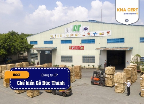 Đánh giá (Pre-audit) BSCI cho Công ty Cổ phần Chế biến Gỗ Đức Thành