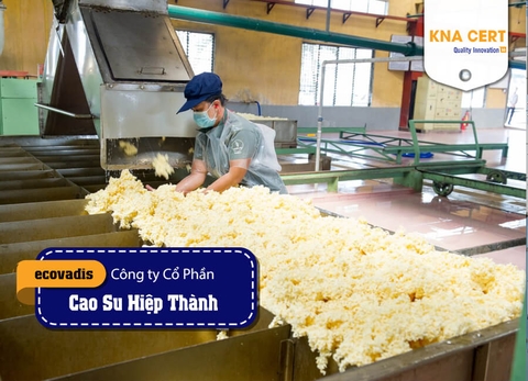 KNA Cấp chứng chỉ ISO 9001 và Pre-audit EcoVadis cho Công ty CP Công nghiệp Cao su Hiệp Thành