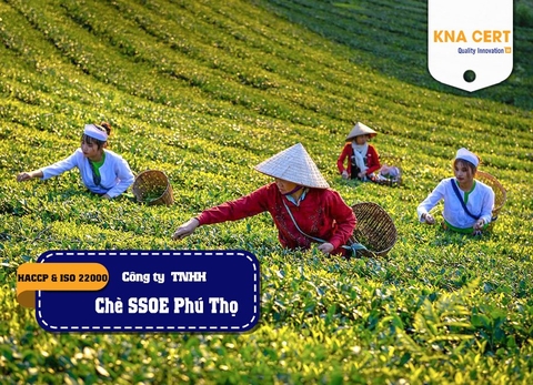 KNA đánh giá HACCP & ISO 22000 (Pre-audit) cho Công ty TNHH Chè SSOE Phú Thọ