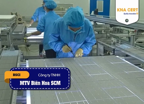 Đánh giá (Pre-audit) BSCI cho Công ty TNHH Một thành viên Biên Hoa SCM