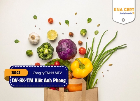 Đánh giá BSCI (Pre-audit) cho Công ty TNHH Một Thành Viên Dịch vụ - Sản xuất - Thương mại Kiệt Anh Phong