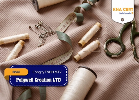 Đánh giá (Pre-audit) BSCI cho Công ty TNHH Một Thành Viên Polywell Creation LTD