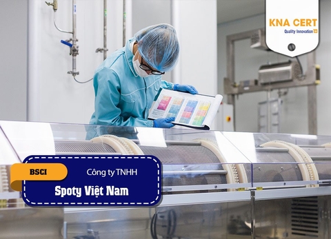 Đánh giá (Pre-audit) BSCI cho Công ty TNHH Spoty Việt Nam