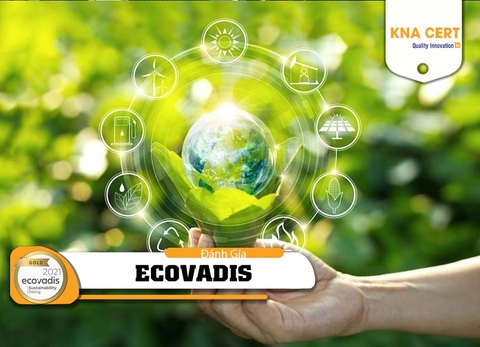 Tư vấn Đánh giá EcoVadis: Hướng dẫn Xếp hạng Kinh doanh Bền vững đạt thứ hạng cao - Vững bước hợp tac toàn cầu