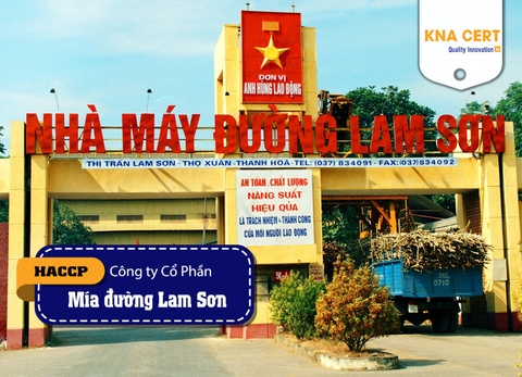 KNA đánh giá HACCP & chứng nhận ISO 9001 cho Công ty CP Mía đường Lam Sơn