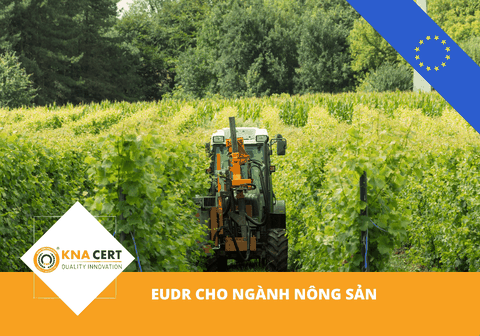 EUDR cho ngành Nông sản: Ảnh hưởng & Giải pháp thích nghi