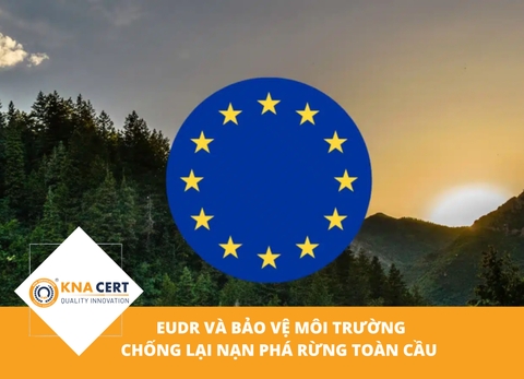 EUDR và bảo vệ môi trường: Chống lại nạn phá rừng toàn cầu