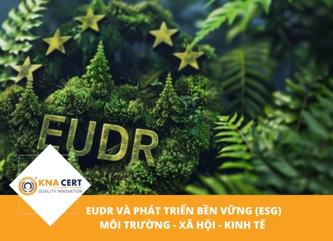 EUDR và phát triển bền vững (ESG): Môi trường - Xã hội - Kinh tế