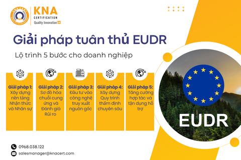 Giải pháp tuân thủ EUDR: Lộ trình 5 bước cho doanh nghiệp