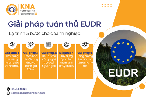 Giải pháp tuân thủ EUDR: Lộ trình 5 bước cho doanh nghiệp