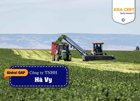 KNA đánh giá GlobalGAP (Pre-audit) cho Công ty TNHH Đầu tư và Thương mại Hà Vy