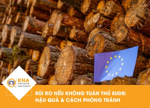 Rủi ro nếu không tuân thủ EUDR: Hậu quả & Cách phòng tránh