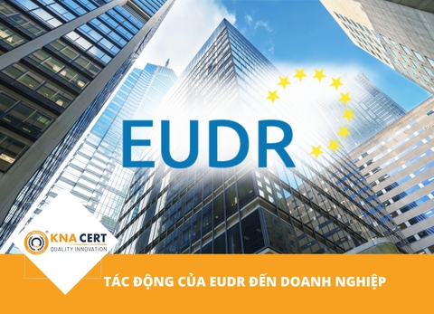 Tác động của EUDR đến doanh nghiệp: Góc nhìn đa chiều