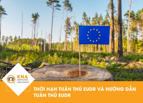 Thời hạn tuân thủ EUDR & Hướng dẫn tuân thủ EUDR