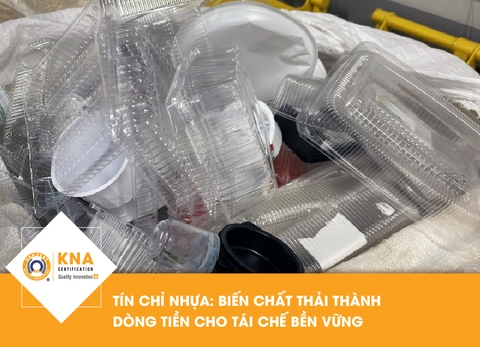 Tín chỉ nhựa: Biến chất thải thành dòng tiền cho tái chế bền vững