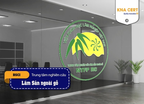 Đánh giá (Pre-audit) BSCI cho Trung tâm nghiên cứu Lâm Sản ngoài gỗ