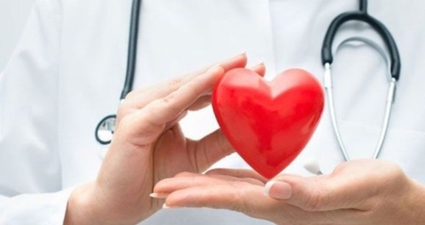 DƯỢC THẢO NÀO LÀ BẠN CỦA TRÁI TIM?