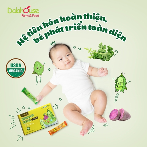 Hướng Dẫn Sử Dụng Bột Rau Củ Hữu Cơ Sấy Lạnh Dalahouse Cho Bé