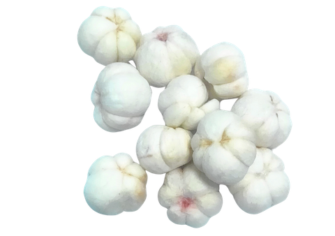 Măng cụt sấy thăng hoa