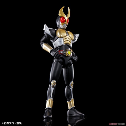 Mô hình lắp ráp Figure-rise Standard Masked Rider Agito Ground Form (Plastic model) Bandai 4573102617996