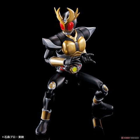 Mô hình lắp ráp Figure-rise Standard Masked Rider Agito Ground Form (Plastic model) Bandai