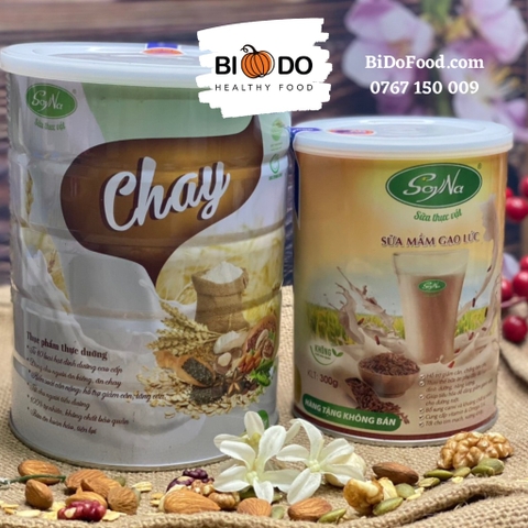 Sữa Hạt Chay SoyNa 400g