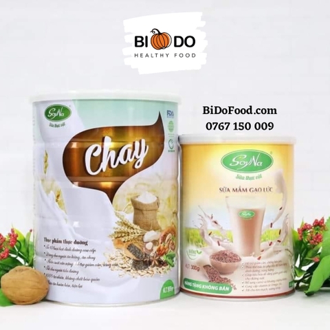 Sữa Hạt Chay SoyNa 400g