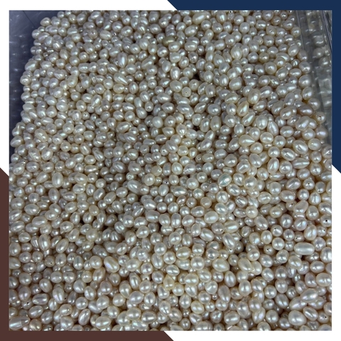 Ngọc trai thô chưa khoan lỗ loại đẹp làm trang sức mã AC4900, bán Sỉ toàn quốc