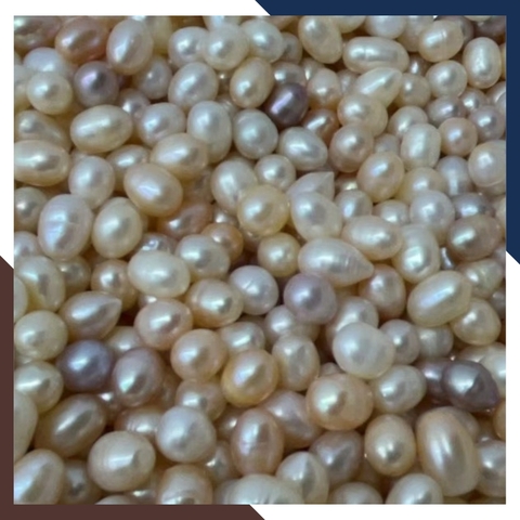 Ngọc trai thô chưa khoan lỗ loại đẹp làm trang sức mã AC4900, bán Sỉ toàn quốc