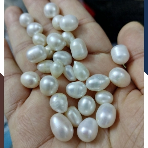 Ngọc trai thô chưa khoan lỗ loại đẹp làm trang sức mã AC4900, bán Sỉ toàn quốc