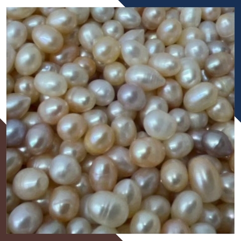 Ngọc trai thô chưa khoan lỗ loại đẹp làm trang sức mã AC4900, bán Sỉ toàn quốc