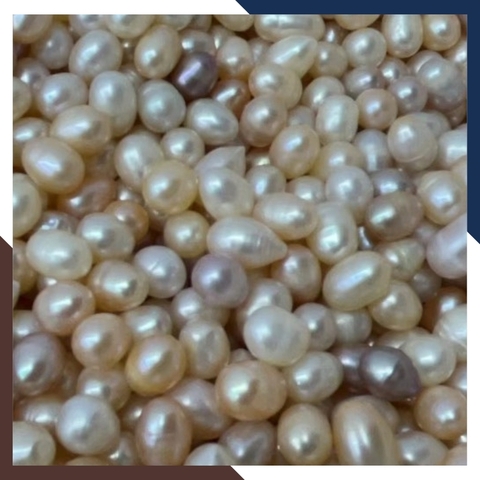 Ngọc trai thô chưa khoan lỗ loại đẹp làm trang sức mã AC4900, bán Sỉ toàn quốc